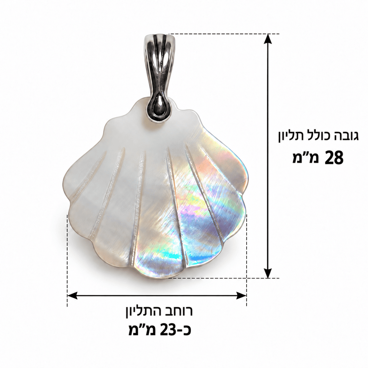 תליון צדפה מאם־הפנינה טבעית עם מתלה מכסף סטרלינג 925, גובה כולל כ־28 מ״מ ורוחב כ־23 מ״מ, בתמונת מידות להמחשת גודל התכשיט – תכשיטי גלאם אנד ג'אמס | GLAM N' GEMS
