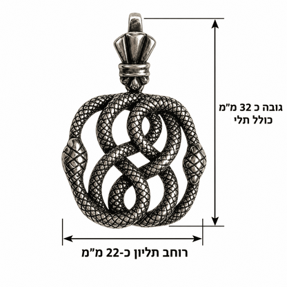 תליון נחשי אינפיניטי מכסף 925 בגימור מושחר, גובה כולל מתלה כ־32 מ״מ ורוחב כ־22 מ״מ, עם שני נחשים שזורים בעיצוב תלת־ממדי – GLAM N’ GEMS